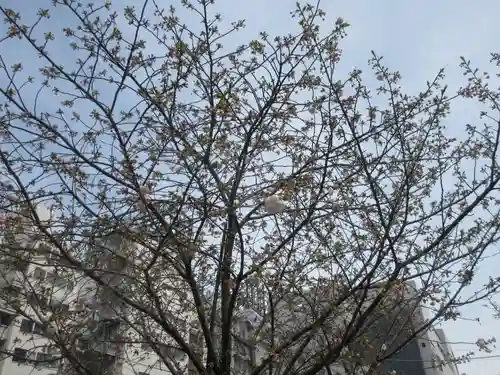 伏見玉光稲荷神社(東京都)