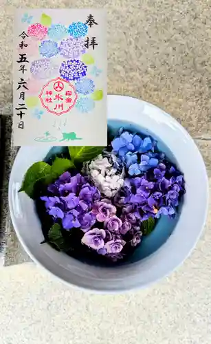 白金氷川神社の御朱印