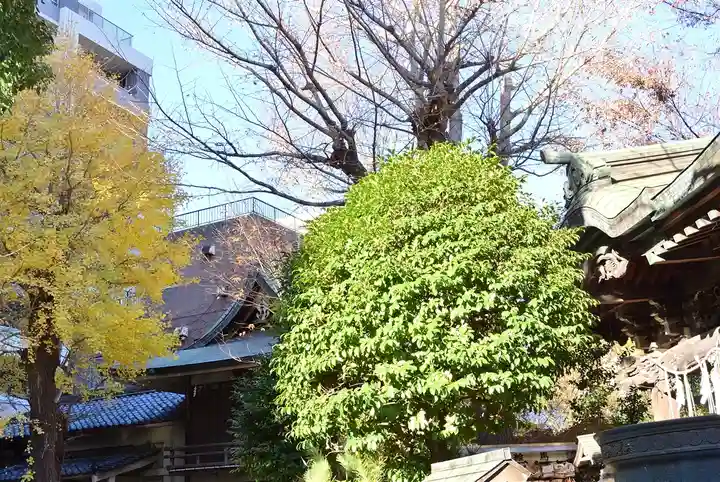 小野照崎神社(東京都)