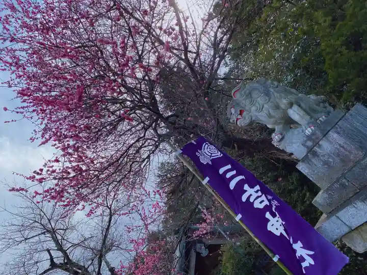 石母田 三吉神社のその他建物