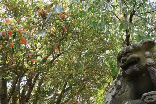 豊景神社の狛犬