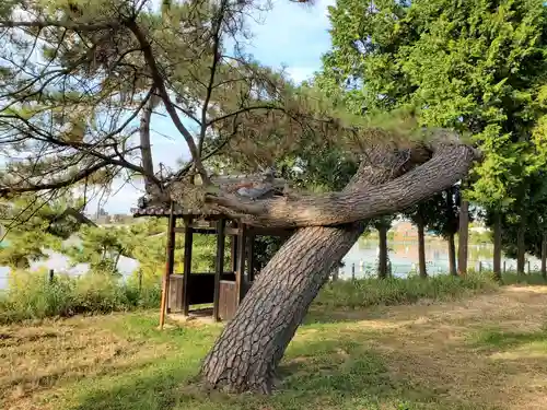 山之上住吉神社の自然
