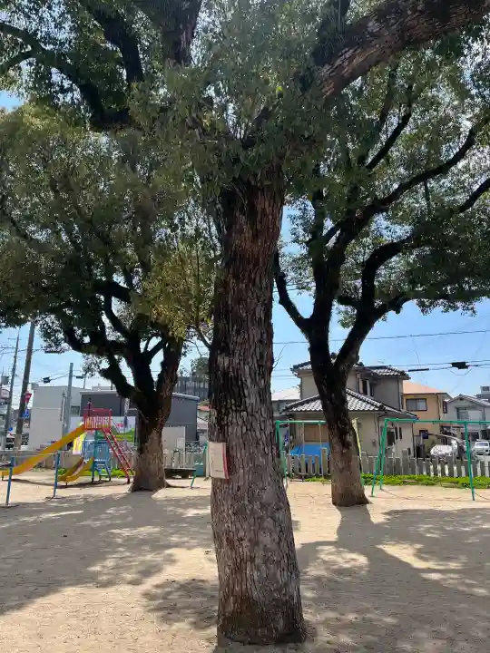 粟津天満神社の{uncategorized: "未分類", other: "その他", undefined: "問題あり", building: "その他建物", grave: "お墓", sacred_gate: "鳥居", guardian: "狛犬", statue: "像", buddha: "仏像", history: "歴史", nature: "自然", garden: "庭園", animal: "動物", pagoda: "塔", temizu: "手水舎", mountain_gate: "山門・神門", sanctuary: "本殿・本堂", subordinate: "末社・摂社", art: "芸術", scenery: "景色", jizo: "地蔵", ema: "絵馬", goshuin: "御朱印", omikuji: "おみくじ", items: "授与品その他", amulet: "お守り", goshuincho: "御朱印帳", eats: "食事", festival: "お祭り", votive_dance: "神楽", shichigosan: "七五三参", wedding: "結婚式", experience: "体験その他", initially: "初詣", around: "周辺", anti_infection: "感染症対策"}