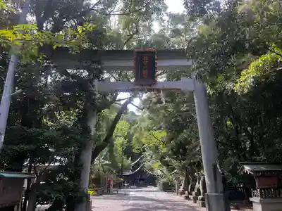 若宮八幡宮(高知県)