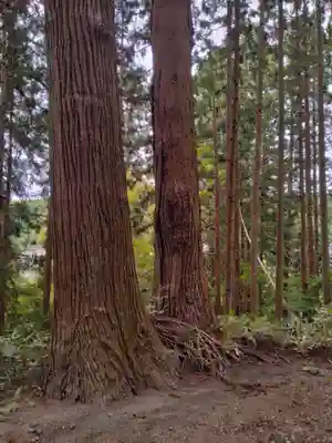 鹿島天足和気神社(宮城県)