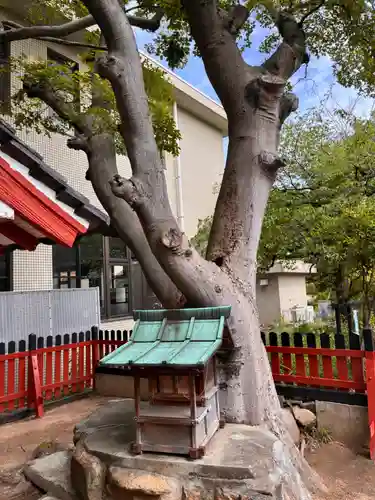 稲荷神社の自然