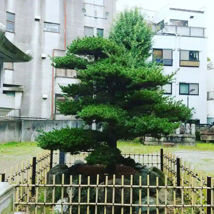 香取神社のその他建物