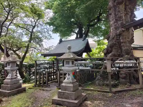 諏訪大社上社前宮(長野県)