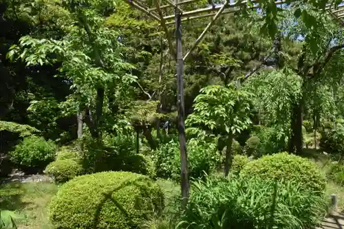 平安神宮の庭園