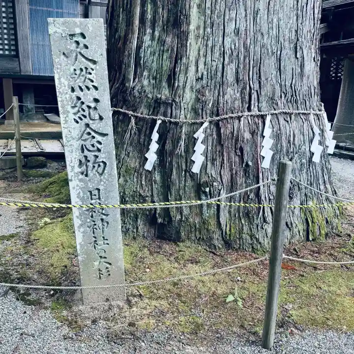 日枝神社(岐阜県)