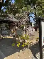 若宮八幡社(愛知県)