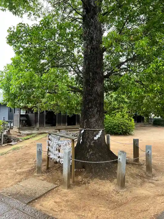 草刈大宮神社(千葉県)