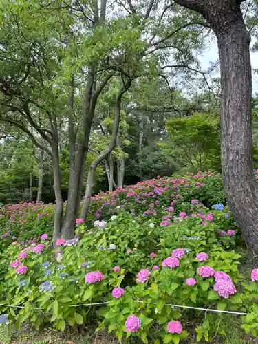 住吉神社の自然