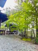 仙台八坂神社(宮城県)