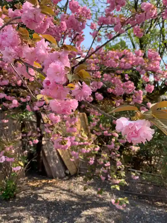 下御霊神社(京都府)