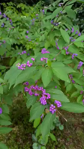 実光院(京都府)