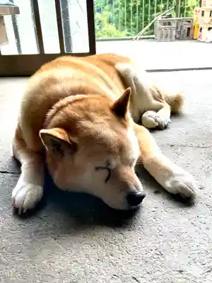 両神御嶽神社／両神山両神神社(埼玉県)