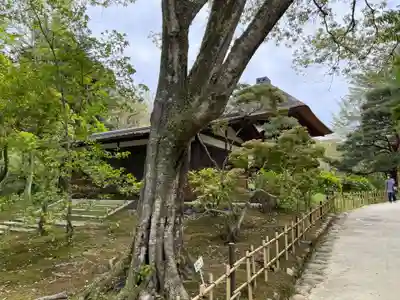 歌泉堂（春日大社神苑萬葉植物園内鎮座）(奈良県)
