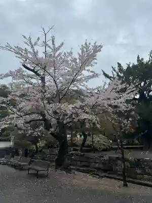 円覚寺の{uncategorized: "未分類", other: "その他", undefined: "問題あり", building: "その他建物", grave: "お墓", sacred_gate: "鳥居", guardian: "狛犬", statue: "像", buddha: "仏像", history: "歴史", nature: "自然", garden: "庭園", animal: "動物", pagoda: "塔", temizu: "手水舎", mountain_gate: "山門・神門", sanctuary: "本殿・本堂", subordinate: "末社・摂社", art: "芸術", scenery: "景色", jizo: "地蔵", ema: "絵馬", goshuin: "御朱印", omikuji: "おみくじ", items: "授与品その他", amulet: "お守り", goshuincho: "御朱印帳", eats: "食事", festival: "お祭り", votive_dance: "神楽", shichigosan: "七五三参", wedding: "結婚式", experience: "体験その他", initially: "初詣", around: "周辺", anti_infection: "感染症対策"}