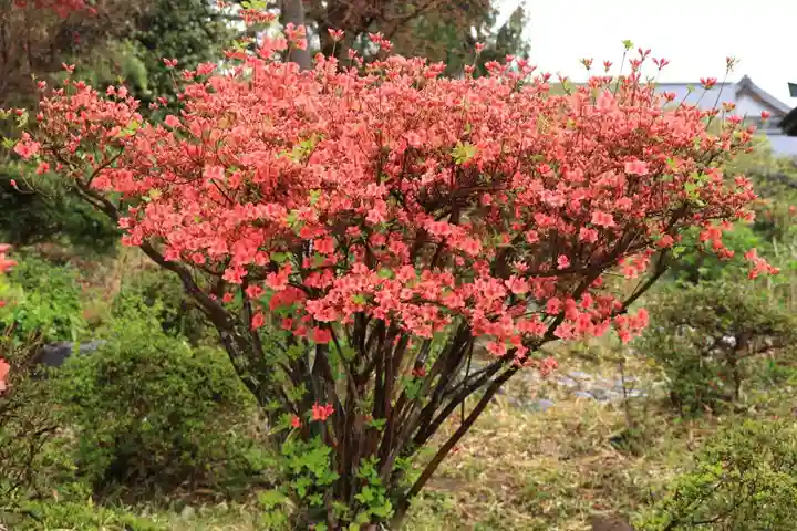 豊景神社の庭園