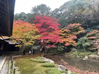 南禅院(京都府)