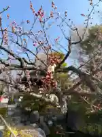 大蓮寺の{uncategorized: "未分類", other: "その他", undefined: "問題あり", building: "その他建物", grave: "お墓", sacred_gate: "鳥居", guardian: "狛犬", statue: "像", buddha: "仏像", history: "歴史", nature: "自然", garden: "庭園", animal: "動物", pagoda: "塔", temizu: "手水舎", mountain_gate: "山門・神門", sanctuary: "本殿・本堂", subordinate: "末社・摂社", art: "芸術", scenery: "景色", jizo: "地蔵", ema: "絵馬", goshuin: "御朱印", omikuji: "おみくじ", items: "授与品その他", amulet: "お守り", goshuincho: "御朱印帳", eats: "食事", festival: "お祭り", votive_dance: "神楽", shichigosan: "七五三参", wedding: "結婚式", experience: "体験その他", initially: "初詣", around: "周辺", anti_infection: "感染症対策"}