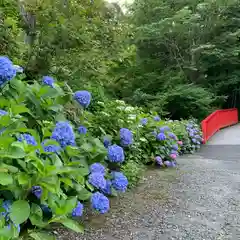 普門寺(切り絵御朱印発祥の寺)の自然