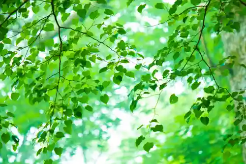 熊野皇大神社(長野県)