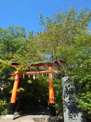宇治上神社の鳥居