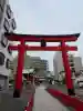 鷲神社の{uncategorized: "未分類", other: "その他", undefined: "問題あり", building: "その他建物", grave: "お墓", sacred_gate: "鳥居", guardian: "狛犬", statue: "像", buddha: "仏像", history: "歴史", nature: "自然", garden: "庭園", animal: "動物", pagoda: "塔", temizu: "手水舎", mountain_gate: "山門・神門", sanctuary: "本殿・本堂", subordinate: "末社・摂社", art: "芸術", scenery: "景色", jizo: "地蔵", ema: "絵馬", goshuin: "御朱印", omikuji: "おみくじ", items: "授与品その他", amulet: "お守り", goshuincho: "御朱印帳", eats: "食事", festival: "お祭り", votive_dance: "神楽", shichigosan: "七五三参", wedding: "結婚式", experience: "体験その他", initially: "初詣", around: "周辺", anti_infection: "感染症対策"}