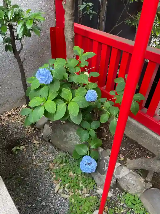 講武稲荷神社(東京都)