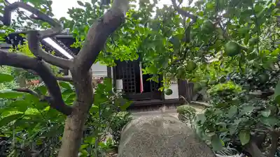 蓮光寺(京都府)