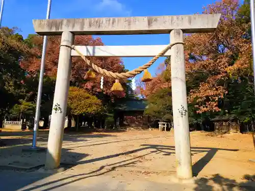 神明社（今岡神明社）の鳥居