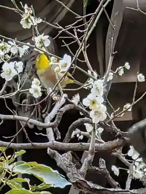 繁榮稲荷神社(東京都)