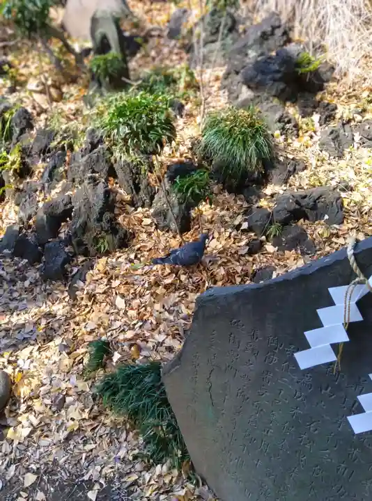 鳩森八幡神社の動物