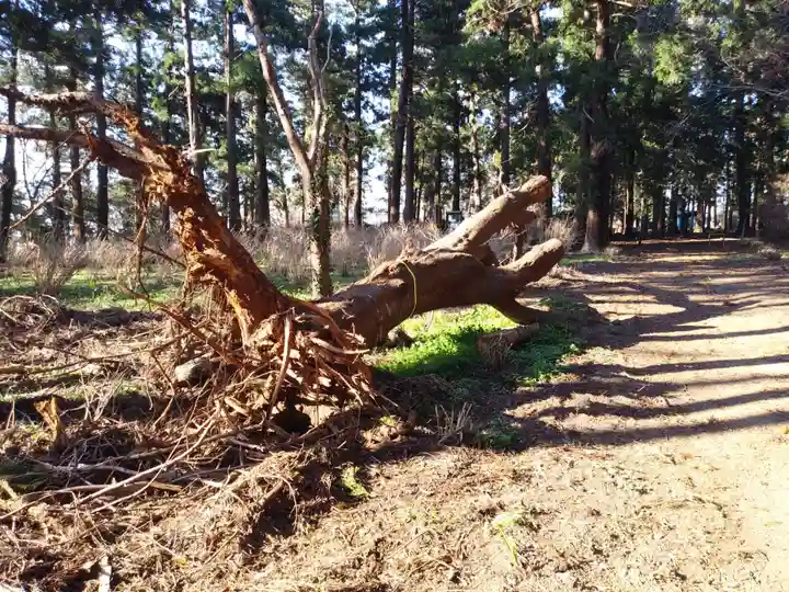 稲荷神社の自然