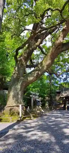 事任八幡宮(静岡県)