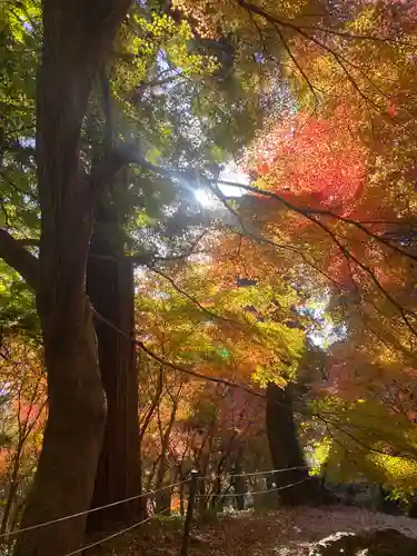 普門寺(切り絵御朱印発祥の寺)(愛知県)