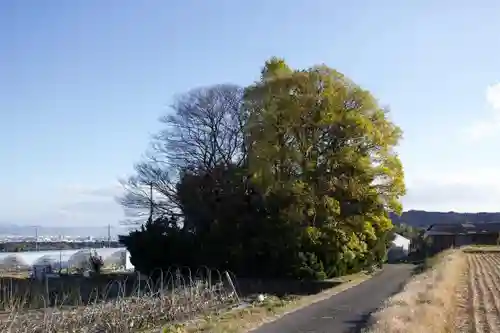 森神社の自然