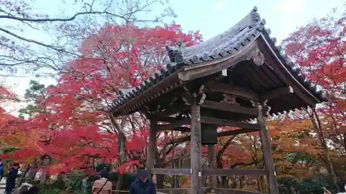 常寂光寺(京都府)