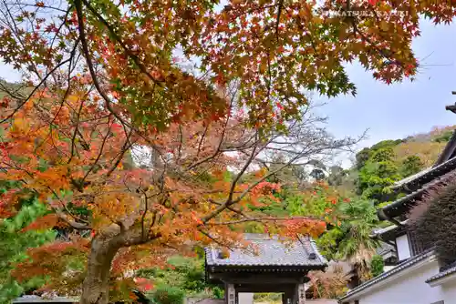 円覚寺(神奈川県)
