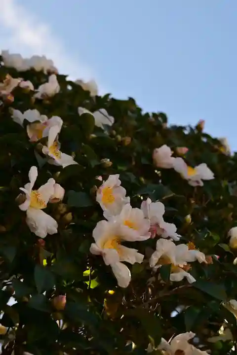 歓喜院(兵庫県)