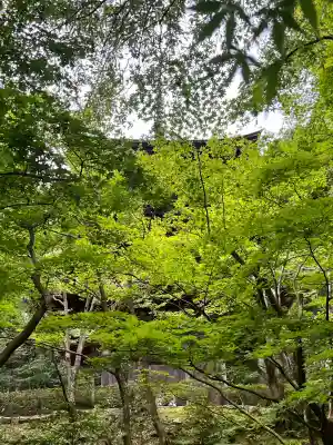 金剛輪寺(滋賀県)