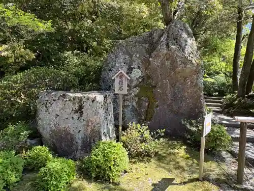 知恩院の{uncategorized: "未分類", other: "その他", undefined: "問題あり", building: "その他建物", grave: "お墓", sacred_gate: "鳥居", guardian: "狛犬", statue: "像", buddha: "仏像", history: "歴史", nature: "自然", garden: "庭園", animal: "動物", pagoda: "塔", temizu: "手水舎", mountain_gate: "山門・神門", sanctuary: "本殿・本堂", subordinate: "末社・摂社", art: "芸術", scenery: "景色", jizo: "地蔵", ema: "絵馬", goshuin: "御朱印", omikuji: "おみくじ", items: "授与品その他", amulet: "お守り", goshuincho: "御朱印帳", eats: "食事", festival: "お祭り", votive_dance: "神楽", shichigosan: "七五三参", wedding: "結婚式", experience: "体験その他", initially: "初詣", around: "周辺", anti_infection: "感染症対策"}