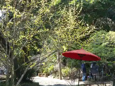 長谷寺(神奈川県)