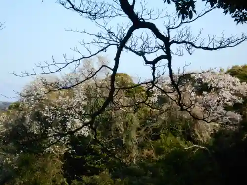 葛原岡神社の景色