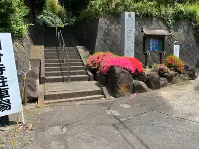 国分寺（相模國分寺）(神奈川県)