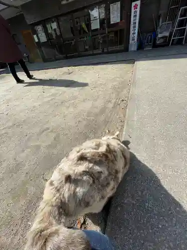松山神社(大阪府)