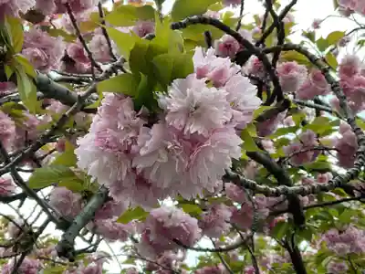 萬蔵寺(神奈川県)