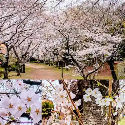 新萱田水神宮の景色